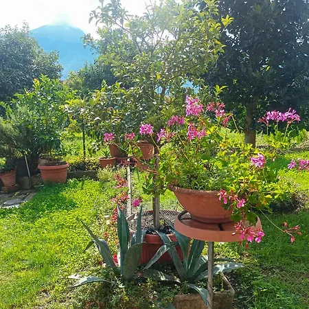 Armando Apartamento Pianello Del Lario